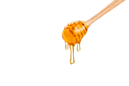 honey dripping down from wooden honey dipper, on white background with copy space