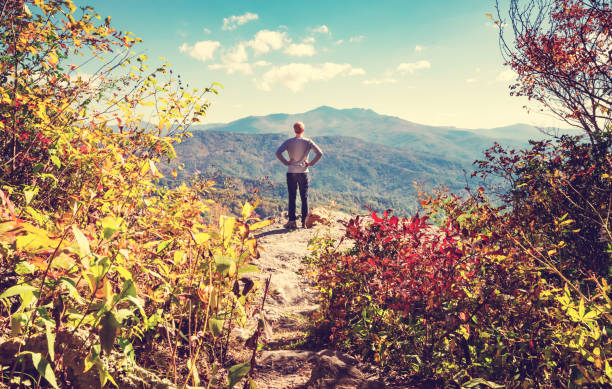istock Man at the edge of a cliff 1136383273