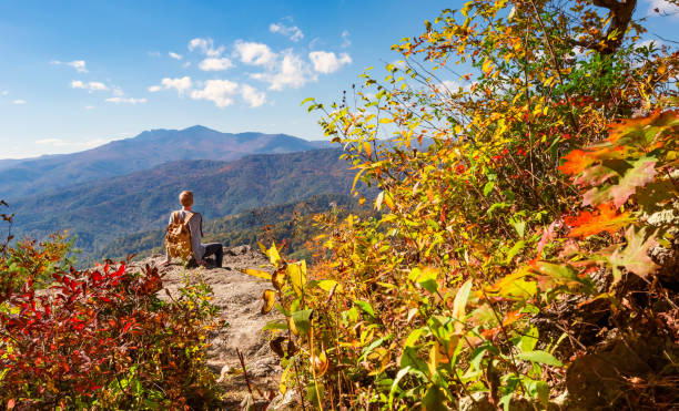 istock Man at the edge of a cliff 1136383277