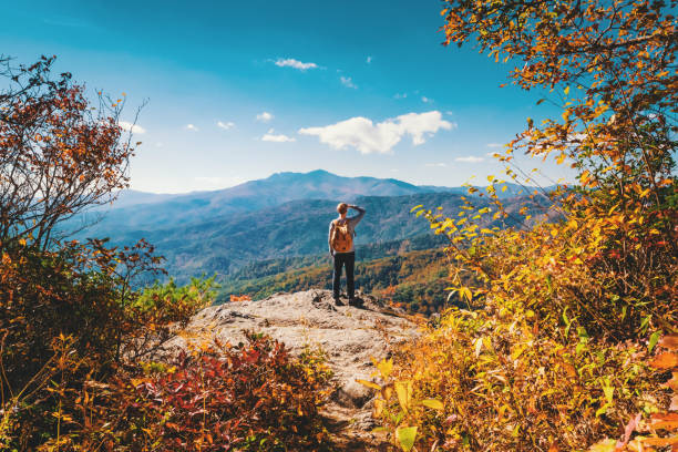 istock Man at the edge of a cliff 1136383287