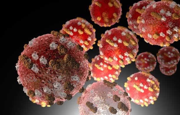 measles virus cells - influenza a virus imagens e fotografias de stock
