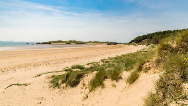 istock Llandwyn Bay, Anglesey, Wales, UK 1136383807