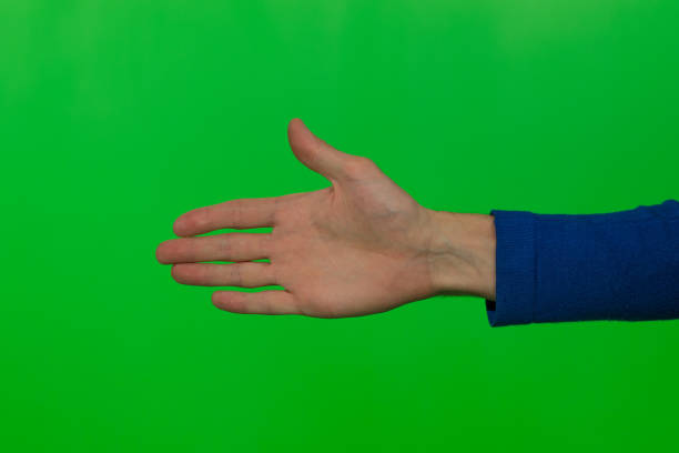 istock hand in palm sign on green background 1136385734