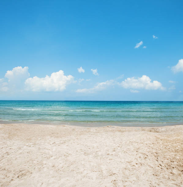 istock Beautiful beach background. Horizon with sky and white sand 1136385841