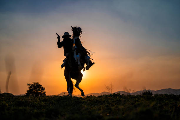 istock silhouette cowboy fire a gun on a horse back in sunset 1136387609
