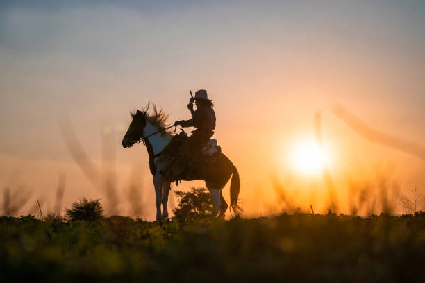 istock silhouette cowboy fire a gun on a horse back in sunset 1136387642