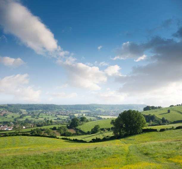 istock Landscape View In The Cotswolds, England 1136387659