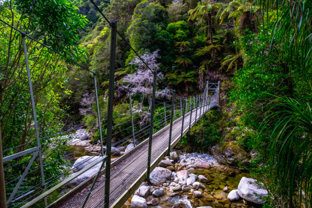 istock Swing bridge cross a creek in a beautiful nature. 1136387678