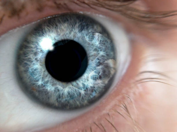 istock Extreme Close Up Of A Blue Eye 1136387787