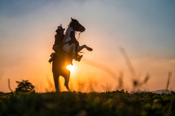 istock silhouette cowboy fire a gun on a horse back in sunset 1136388387