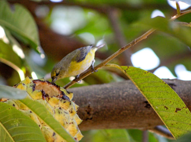 Picture of rural region stock photo