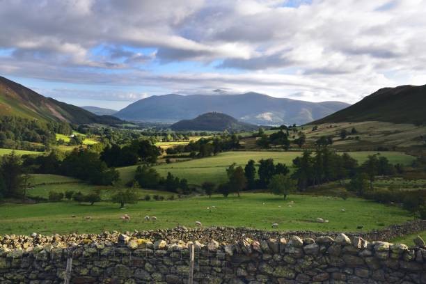 istock The Newlands Valley 1136391856