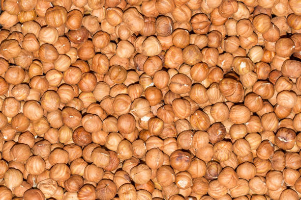 Peeled hazelnut, healthy food concept