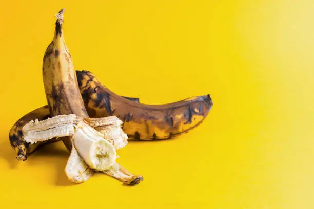 Photo of Two overripe blackened ugly bananas on bright yellow background.