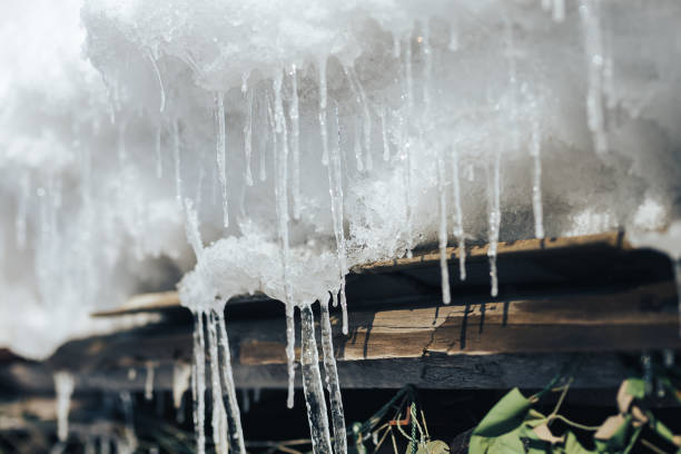 istock Spring icicle melts in sunlight. Beautiful icicles glint 1136395455