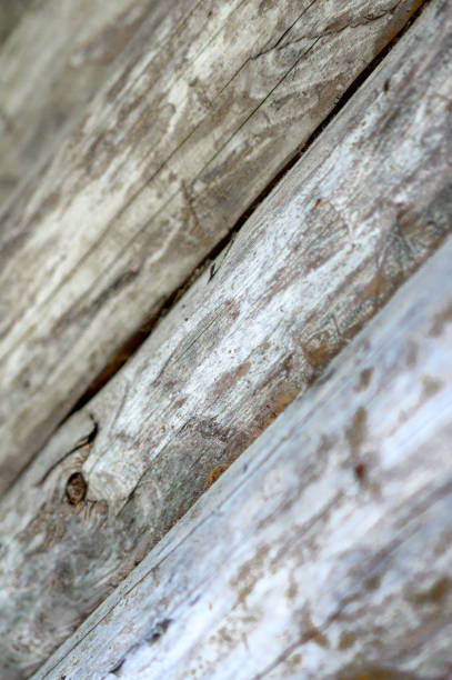 istock Wooden wall from old logs 1136396451