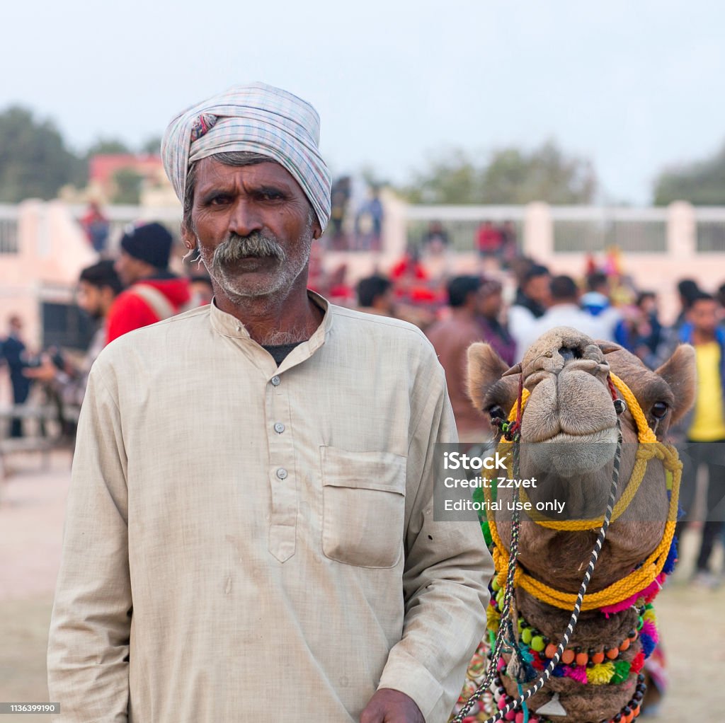 Camel Festival In Bikaner Rajasthan State India Stock Photo - Download  Image Now - Agricultural Fair, Amber, Animal - iStock