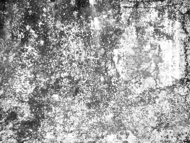 istock Old grunge abstract background texture White concrete wall 1136399550