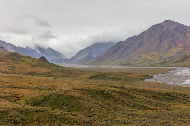 istock Denali National Park Alaska Landscape 1136403148