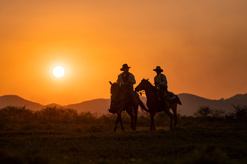 silhouette two cowboys ride with they horses under sunsetsilhouette two cowboys ride with they horses under sunsetsilhouette two cowboys ride with they horses under sunsetsilhouette two cowboys ride with they horses under sunset