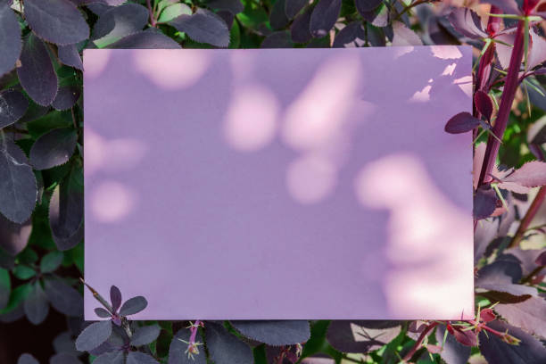 istock Pink paper blank between green leaves. 1136409934