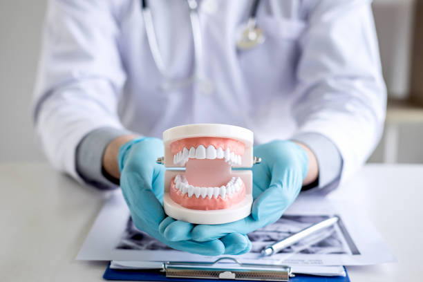 Male doctor or dentist working with patient tooth x-ray film, model and equipment used in the treatment and analysis teeth disease of dental and dentistry at workplace stock photo
