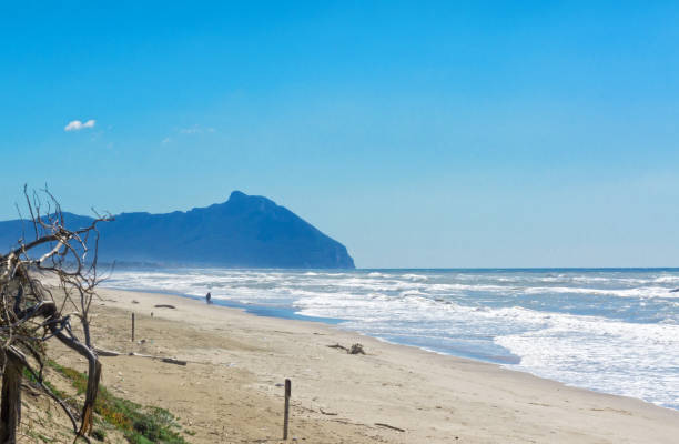 View of the beach of Sabaudia - Latina - Italy Panorama of the famous beach with the mountain sabaudia stock pictures, royalty-free photos & images
