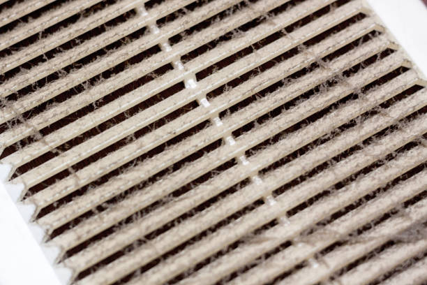 istock Cleaning ventilation plastic frame dust. the filter is completely clogged with dust and dirt. Dirty ventilation system in the room. Disinfection service. 1136417918