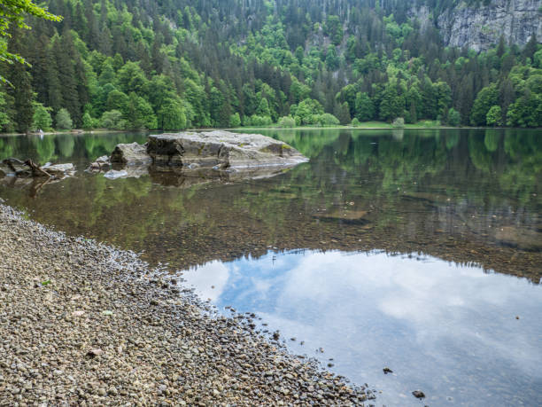 istock Feldsee in the Black Forest Germany 1136419238