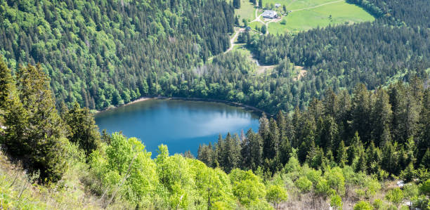 istock View of the Feldsee in the Black Forest Germany 1136419563
