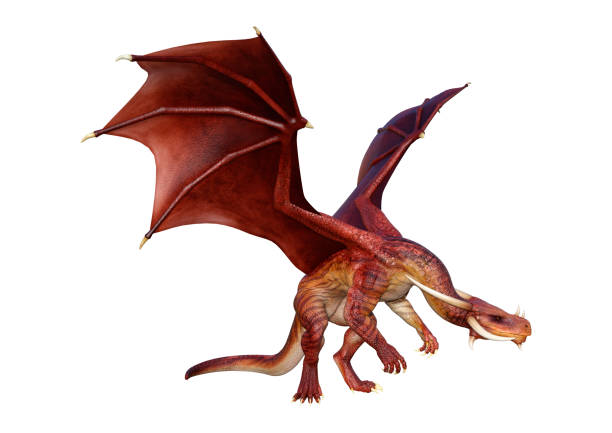 istock 3D illustration red fantasy dragon on white 1136421295