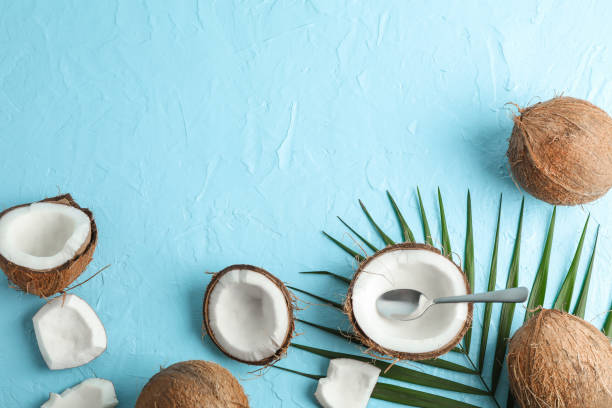 istock Tropical coconuts with palm branch on color background, space for text 1136422820