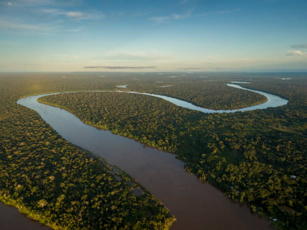 Javari River Javari river shot from drone during sunset amazon rainforest photos stock pictures, royalty-free photos & images