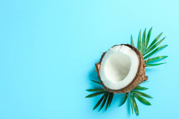 istock Half coconut with palm branch on color background, space for text 1136424106