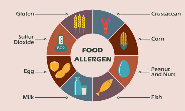 음식 알레르겐 아이콘을 설정 합니다. 인포 그래픽 디자인 요소입니다. 화려한 벡터 일러스트입니다. - peanut allergy food fruit stock illustrations