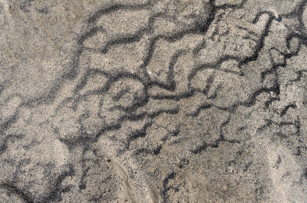 istock Black and white Sand on the beach 1136425518