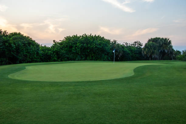 ゴルフコースグリーン - golf golf flag sunset flag ストックフォトと画像