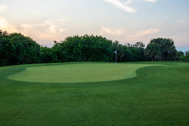 verde do campo de golfe - golf flag putting green sport - fotografias e filmes do acervo