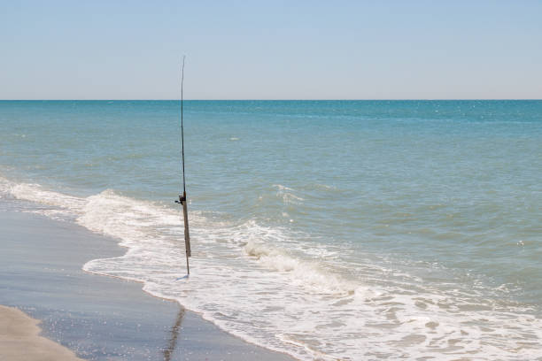 istock Fishing rod at beach 1136428926