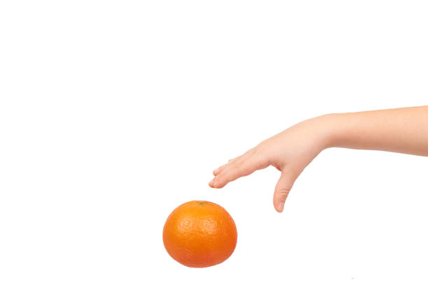 Kids hand with fresh orange tangerine, raw citrus fruit. Isolated on white background. Copy space