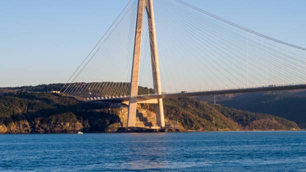 istock Istanbul bosphorus in a sunny day 1136433384