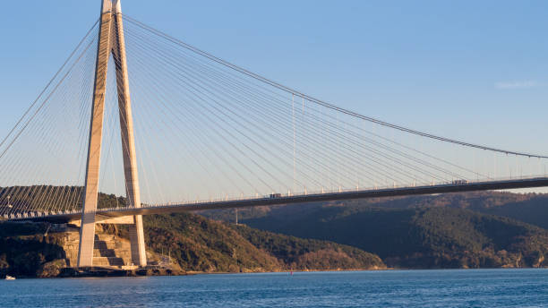 istock Istanbul bosphorus in a sunny day 1136434187