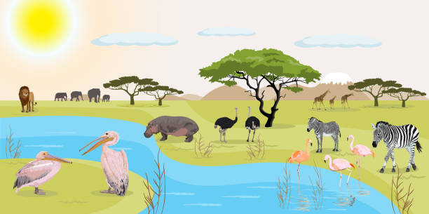 afrikanischer landschaftsvektorabbild - elephant water vector animals in the wild stock-grafiken, -clipart, -cartoons und -symbole