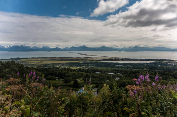 istock View on Homer and the spit in Alaska 1136438477