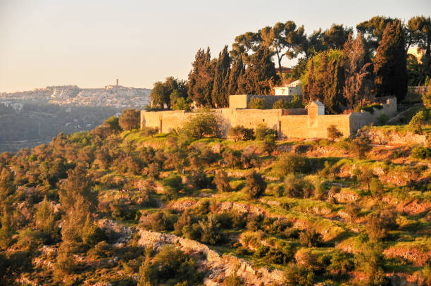 istock Terraced Hills of  Jerusalem 1136440039