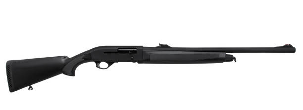 istock Shotgun isolated on white background 1136442092