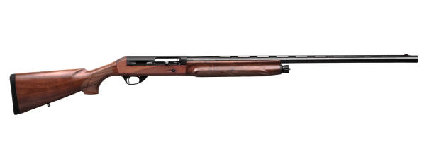 istock Shotgun isolated on white background 1136442116
