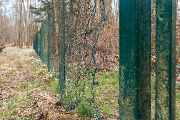 istock Big hole in wire mesh fence 1136442933