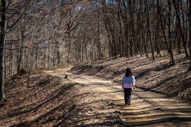 istock Woman and dog in the forest 1136443454