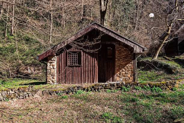 Photo of a rustic house on the woods